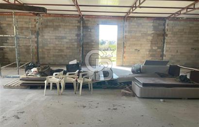 Güzelbahçe'de Ana Yola Yakın 5 Dönüm Kiralık Tarla