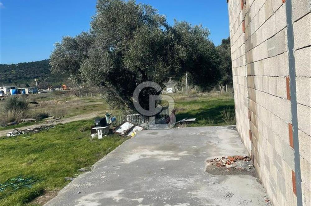 Güzelbahçe'de Ana Yola Yakın 5 Dönüm Kiralık Tarla