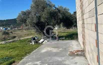 Güzelbahçe'de Ana Yola Yakın 5 Dönüm Kiralık Tarla