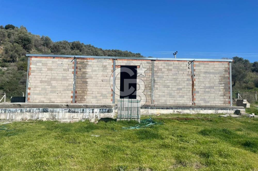 Güzelbahçe'de Ana Yola Yakın 5 Dönüm Kiralık Tarla