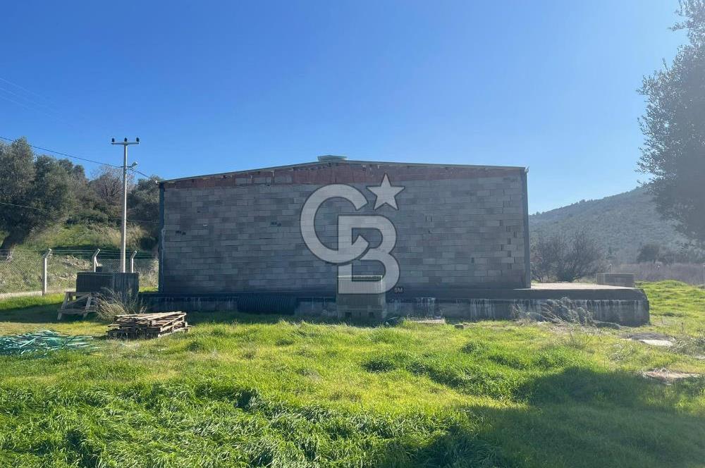 Güzelbahçe'de Ana Yola Yakın 5 Dönüm Kiralık Tarla
