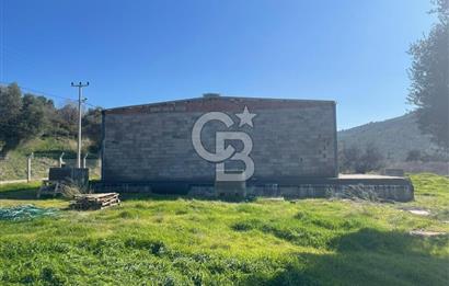 Güzelbahçe'de Ana Yola Yakın 5 Dönüm Kiralık Tarla