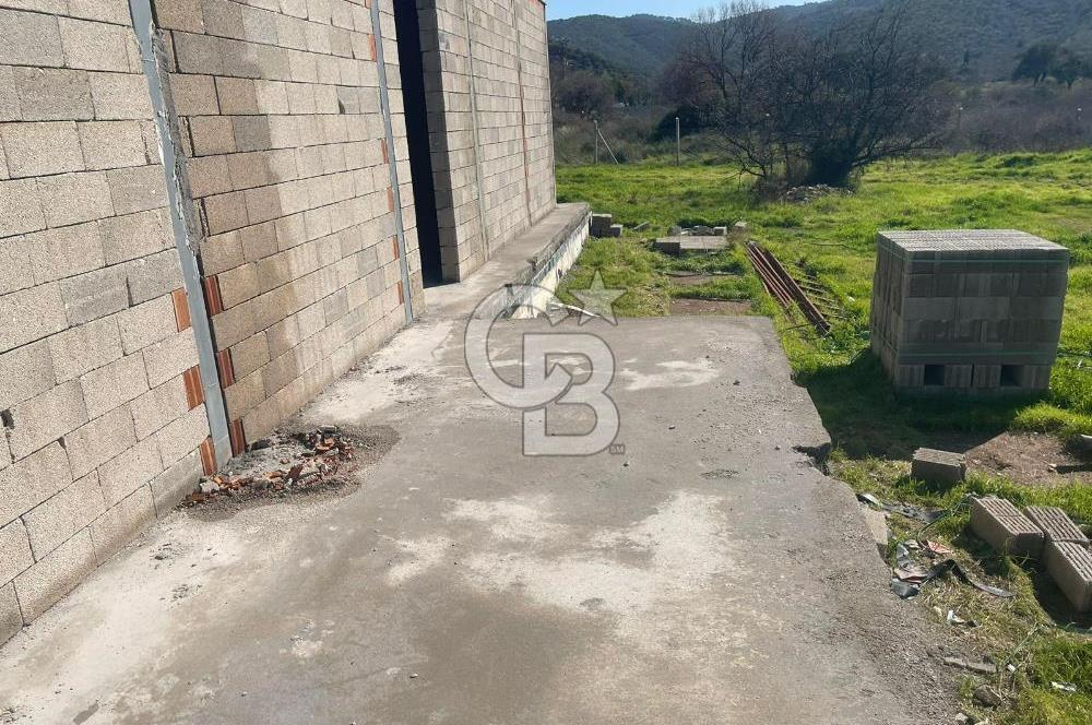 Güzelbahçe'de Ana Yola Yakın 5 Dönüm Kiralık Tarla