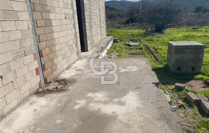 Güzelbahçe'de Ana Yola Yakın 5 Dönüm Kiralık Tarla