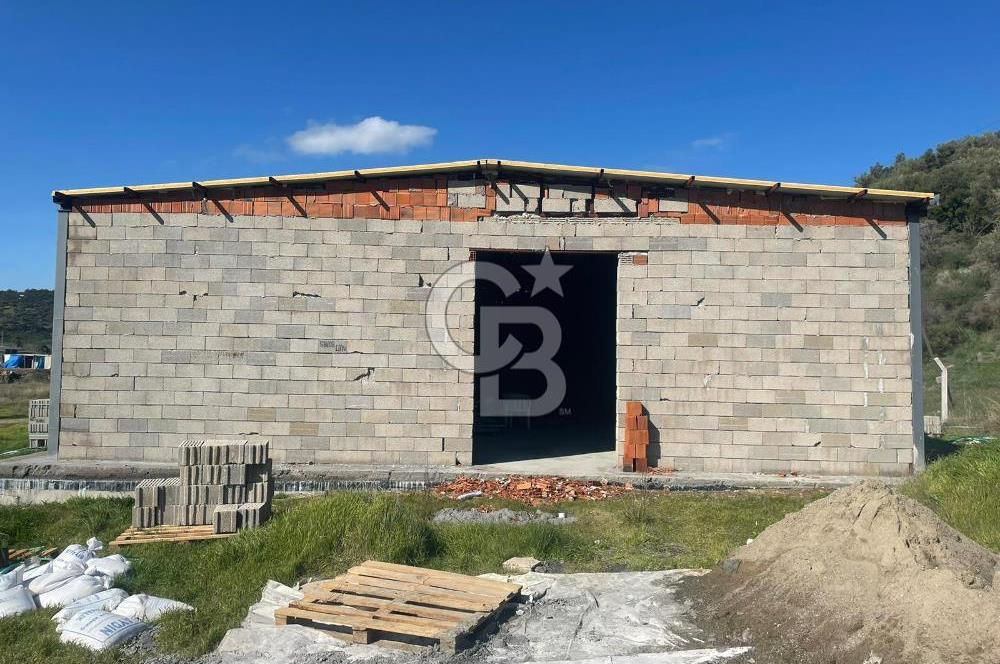 Güzelbahçe'de Ana Yola Yakın 5 Dönüm Kiralık Tarla
