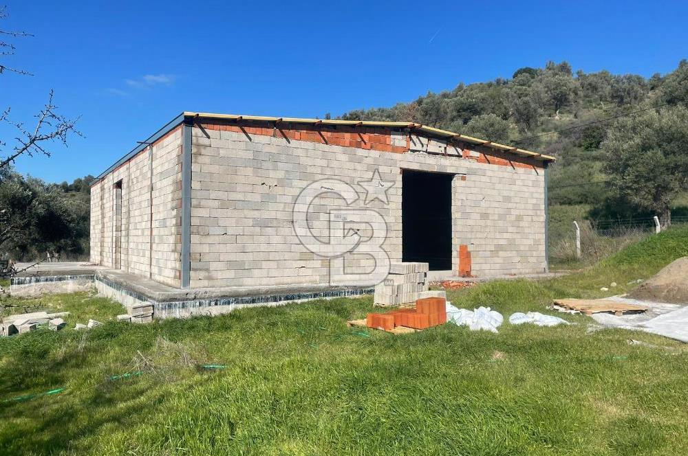 Güzelbahçe'de Ana Yola Yakın 5 Dönüm Kiralık Tarla
