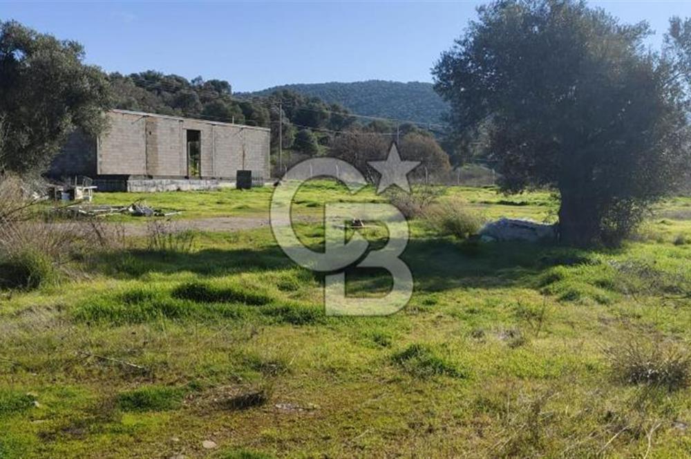 Güzelbahçe'de Ana Yola Yakın 5 Dönüm Kiralık Tarla