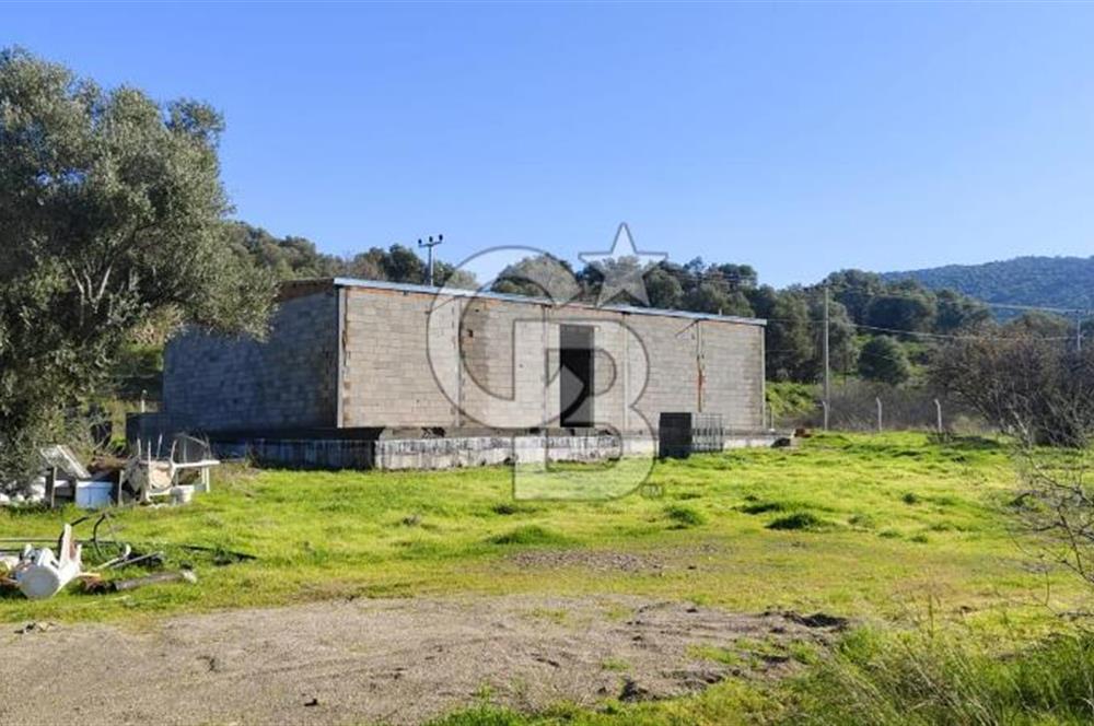 Güzelbahçe'de Ana Yola Yakın 5 Dönüm Kiralık Tarla