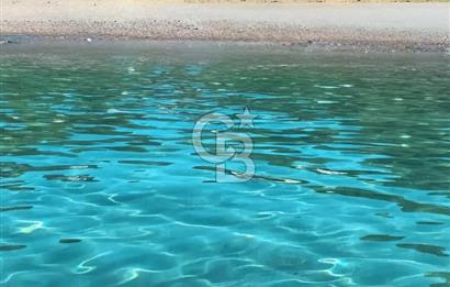 Urla / Yağcılar'da Papaz Koyuna Yakın Yatırımlık Zeytinlik