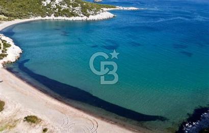 Urla / Yağcılar'da Papaz Koyuna Yakın Yatırımlık Zeytinlik