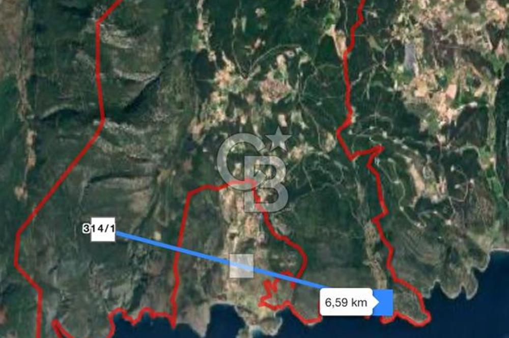 Urla / Yağcılar'da Papaz Koyuna Yakın Yatırımlık Zeytinlik