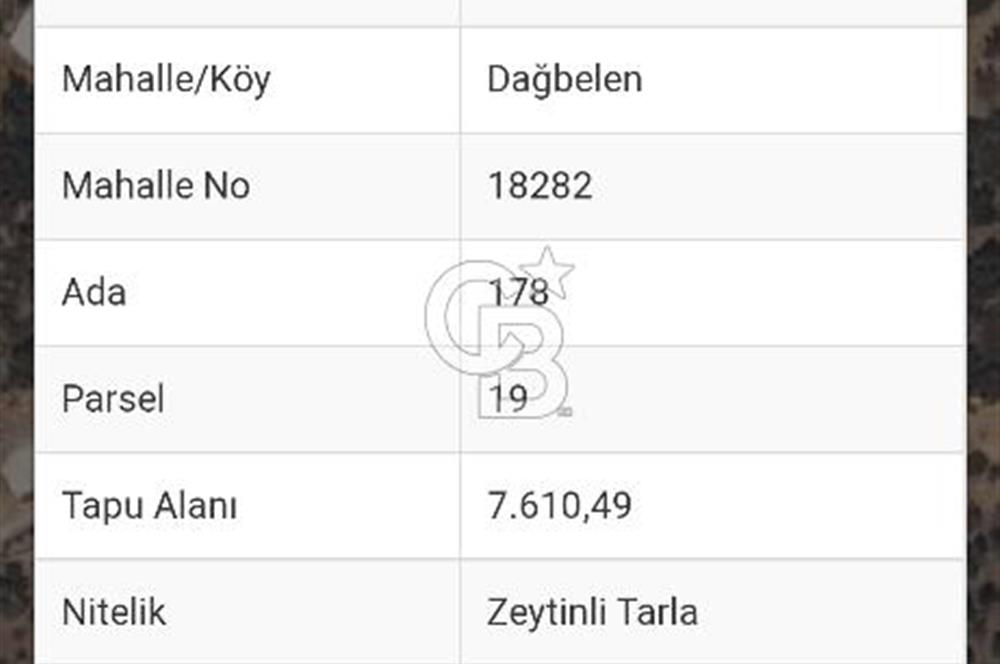 BODRUM YALIKAVAK DAĞBELEN SATILIK 7.610 M2 ZEYTİNLİ TARLA