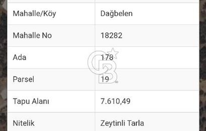 BODRUM YALIKAVAK DAĞBELEN SATILIK 7.610 M2 ZEYTİNLİ TARLA