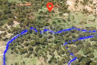 BODRUM YALIKAVAK DAĞBELEN SATILIK 7.610 M2 ZEYTİNLİ TARLA