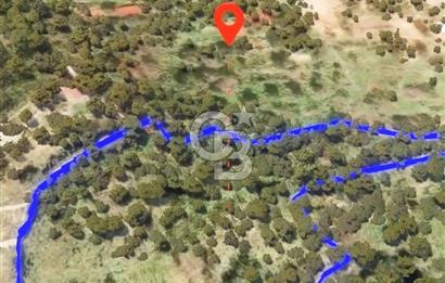 BODRUM YALIKAVAK DAĞBELEN SATILIK 7.610 M2 ZEYTİNLİ TARLA