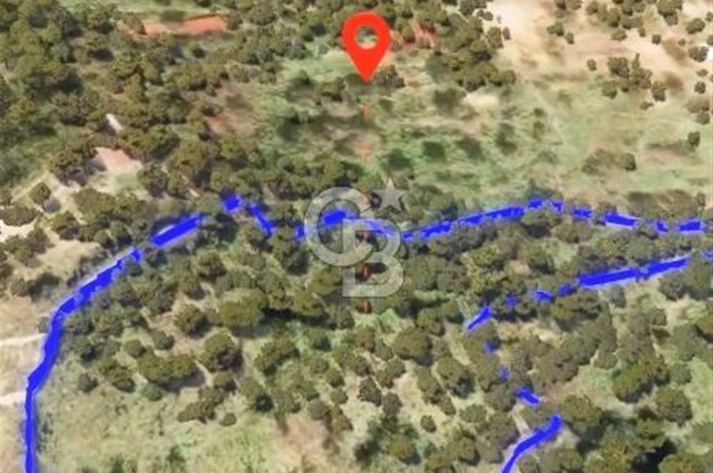 BODRUM YALIKAVAK DAĞBELEN SATILIK 7.610 M2 ZEYTİNLİ TARLA