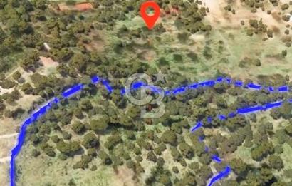 BODRUM YALIKAVAK DAĞBELEN SATILIK 7.610 M2 ZEYTİNLİ TARLA