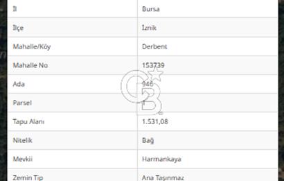 BURSA İZNİK DERBENT'TE YOLA CEPHELİ GÖL MANZARALI BAĞ