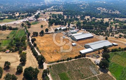 CB CLASS BURSA SATILIK ÇİFTLİK 800 BÜYÜKBAŞ KAPASİTELİ