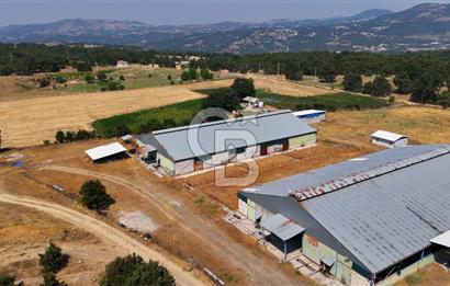 CB CLASS BURSA SATILIK ÇİFTLİK 800 BÜYÜKBAŞ KAPASİTELİ