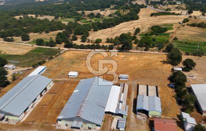 CB CLASS BURSA SATILIK ÇİFTLİK 800 BÜYÜKBAŞ KAPASİTELİ