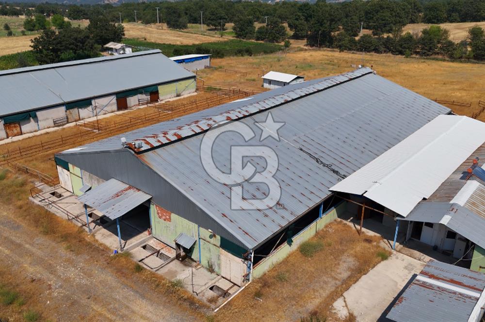 CB CLASS BURSA SATILIK ÇİFTLİK 800 BÜYÜKBAŞ KAPASİTELİ