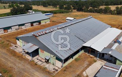 CB CLASS BURSA SATILIK ÇİFTLİK 800 BÜYÜKBAŞ KAPASİTELİ