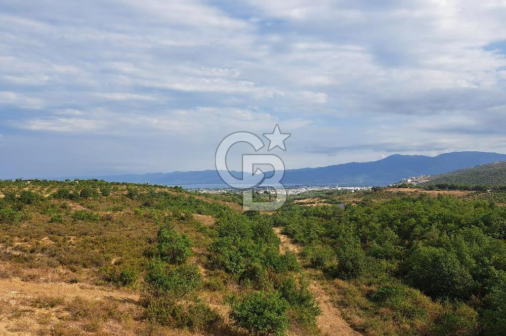 BURSA ORHANGAZİ GÖL VE DOĞA MANZARALI 2+1 KİRALIK DAİRE