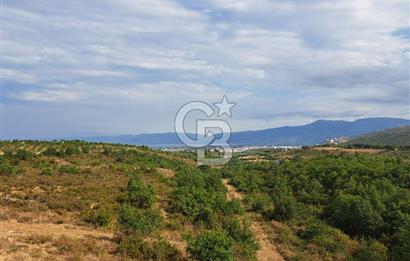 BURSA ORHANGAZİ GÖL VE DOĞA MANZARALI 2+1 KİRALIK DAİRE