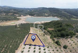CB ADDRESS'TEN MUDANYA ÇINARLI'DA GÖL MANZARALI SATILIK TARLA