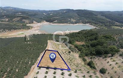 CB ADDRESS'TEN MUDANYA ÇINARLI'DA GÖL MANZARALI SATILIK TARLA