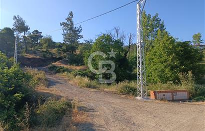 ÇANAKKALE ÇAN KIZILELMA KÖY İÇİ İMARLI BAHÇE