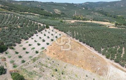 CB ADDRESS'TEN MUDANYA ÇINARLI'DA GÖL MANZARALI SATILIK TARLA