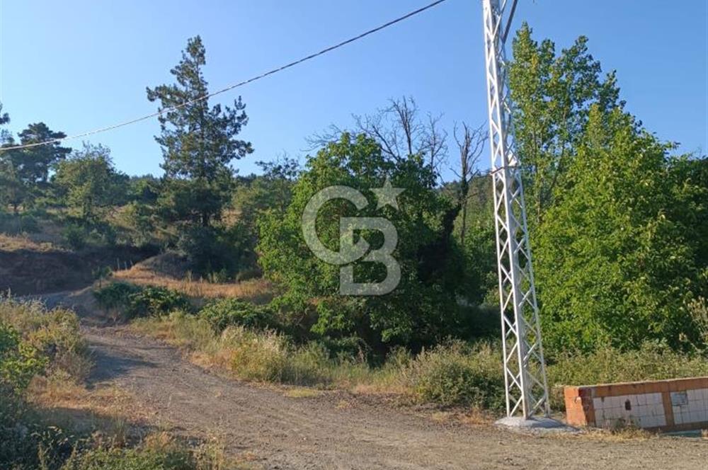 ÇANAKKALE ÇAN KIZILELMA KÖY İÇİ İMARLI BAHÇE