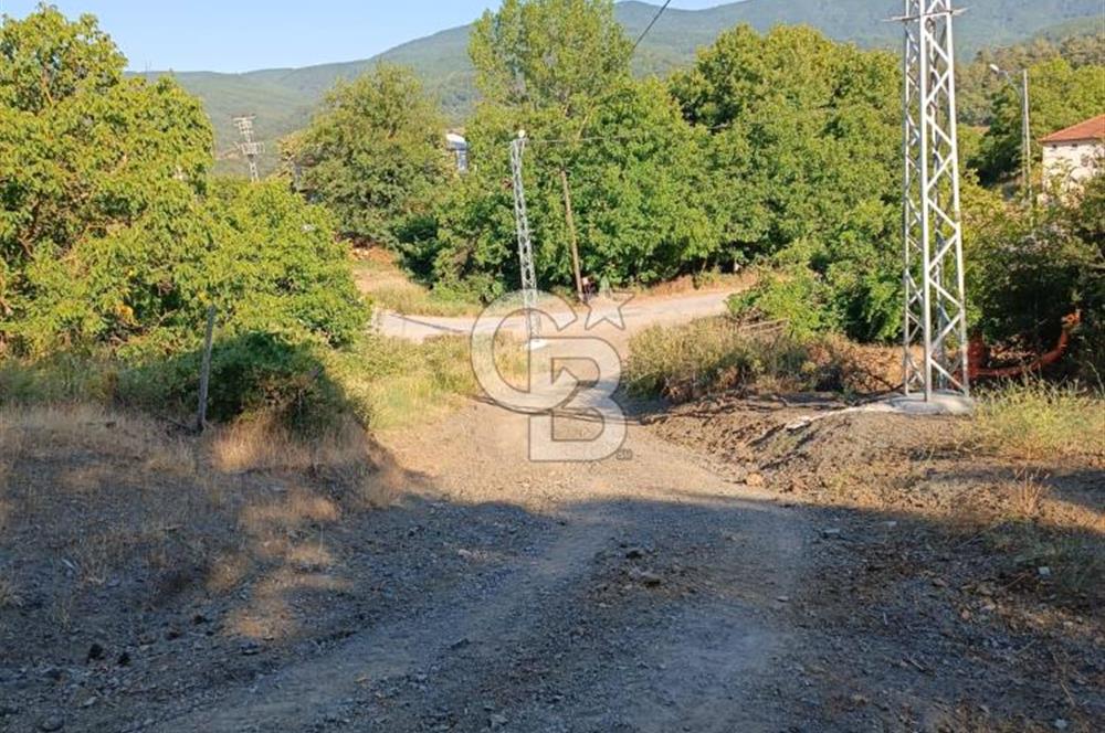 ÇANAKKALE ÇAN KIZILELMA KÖY İÇİ İMARLI BAHÇE