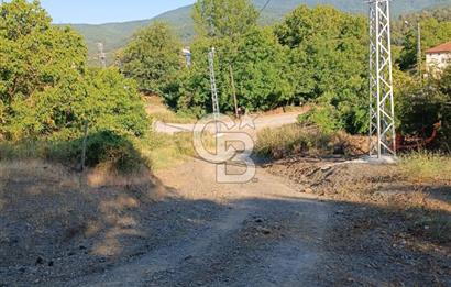 ÇANAKKALE ÇAN KIZILELMA KÖY İÇİ İMARLI BAHÇE