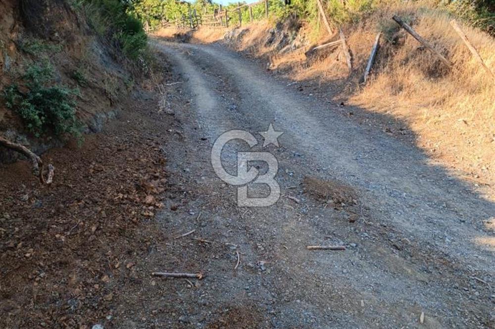 ÇANAKKALE ÇAN KIZILELMA KÖY İÇİ İMARLI BAHÇE