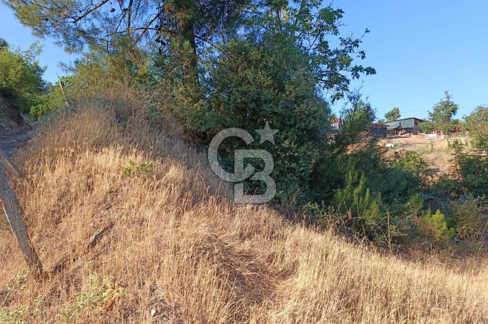 ÇANAKKALE ÇAN KIZILELMA KÖY İÇİ İMARLI BAHÇE