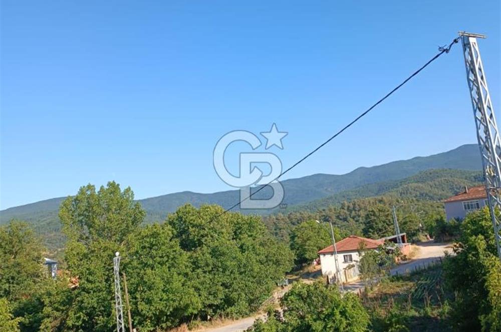 ÇANAKKALE ÇAN KIZILELMA KÖY İÇİ İMARLI BAHÇE