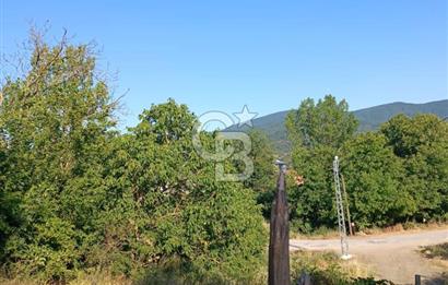 ÇANAKKALE ÇAN KIZILELMA KÖY İÇİ İMARLI BAHÇE