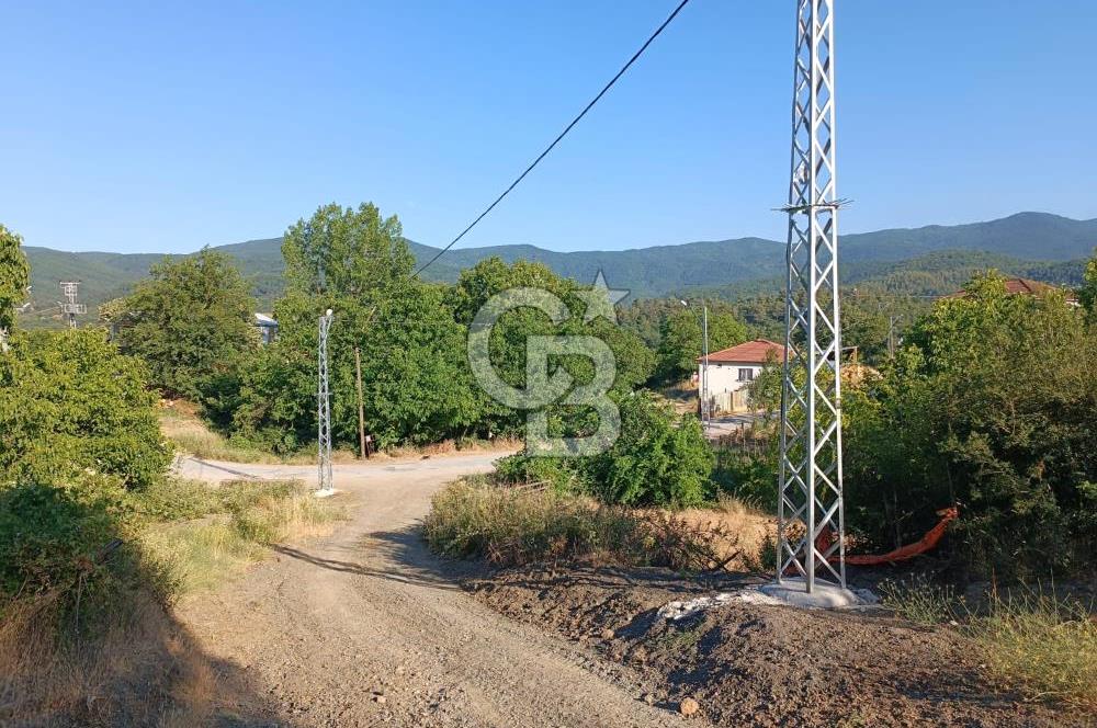 ÇANAKKALE ÇAN KIZILELMA KÖY İÇİ İMARLI BAHÇE