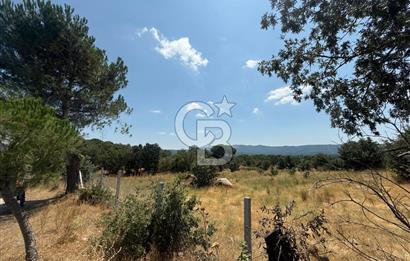 🌿 YATIRIMLIK DOĞA HARİKASI TARLA - KOZAK YAYLASI / GÖLAVLU MEVKİİ 🌿