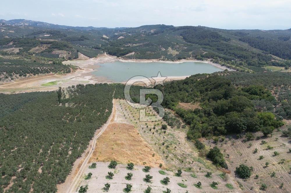 CB ADDRESS'TEN MUDANYA ÇINARLI'DA GÖL MANZARALI SATILIK TARLA