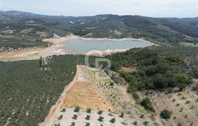 CB ADDRESS'TEN MUDANYA ÇINARLI'DA GÖL MANZARALI SATILIK TARLA