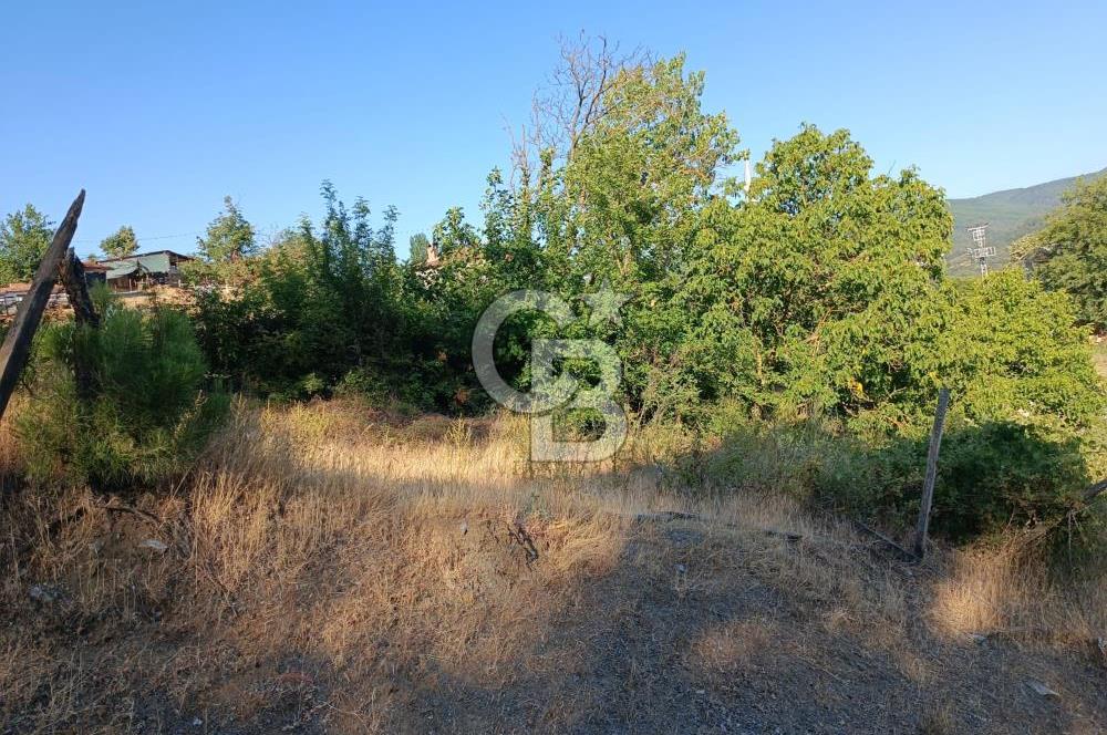 ÇANAKKALE ÇAN KIZILELMA KÖY İÇİ İMARLI BAHÇE
