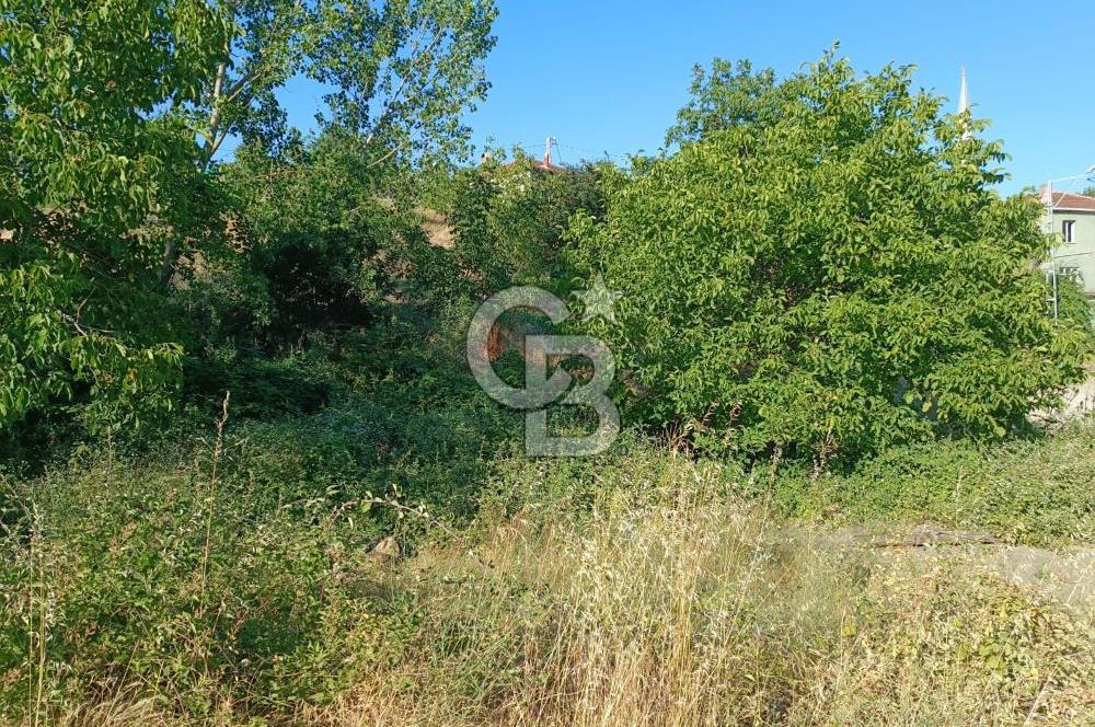 ÇANAKKALE ÇAN KIZILELMA KÖY İÇİ İMARLI BAHÇE