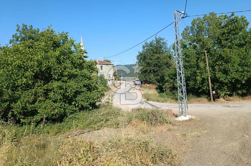 ÇANAKKALE ÇAN KIZILELMA KÖY İÇİ İMARLI BAHÇE