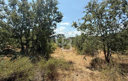 🌿 YATIRIMLIK DOĞA HARİKASI TARLA - KOZAK YAYLASI / GÖLAVLU MEVKİİ 🌿