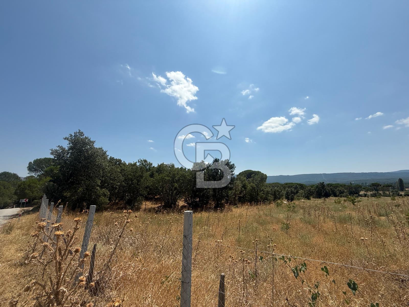 🌿 YATIRIMLIK DOĞA HARİKASI TARLA - KOZAK YAYLASI / GÖLAVLU MEVKİİ 🌿