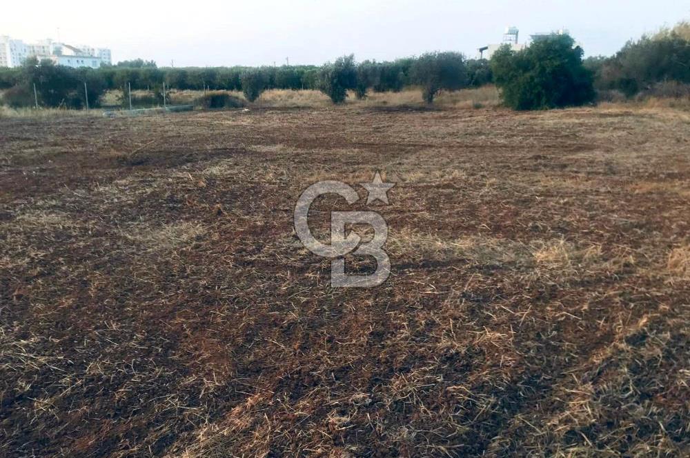 KKTC LEFKE GAZİVEREN KÖYÜ'NDE SATILIK İMARLI ARSA